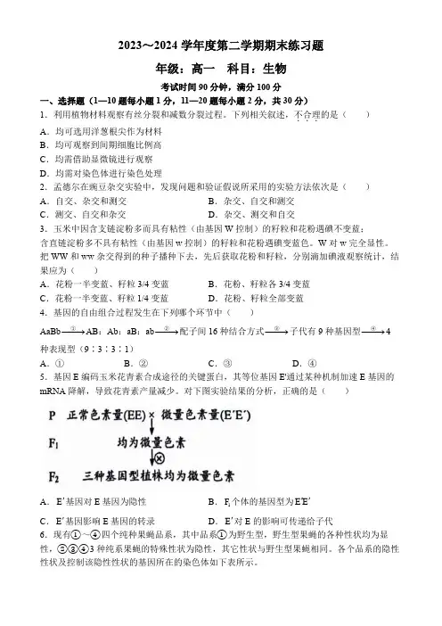 高一下学期期末考试生物试题(含答案)