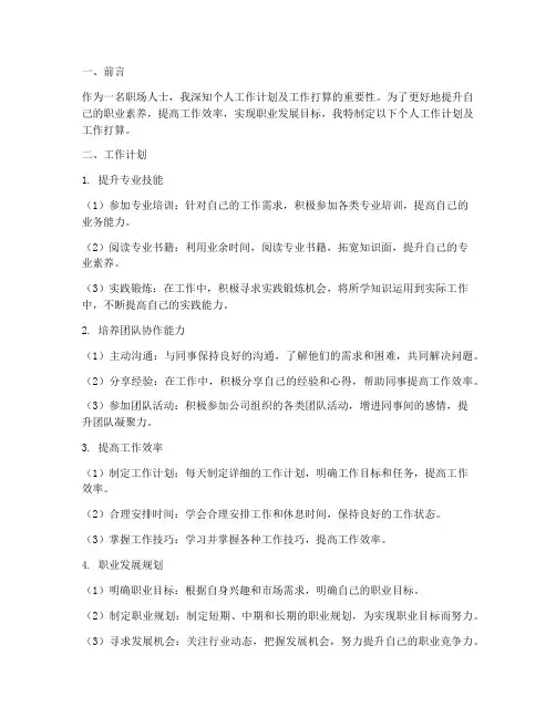 个人工作计划及工作打算