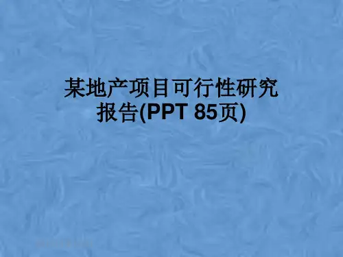 某地产项目可行性研究报告(PPT 85页)
