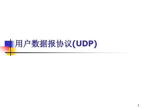 UDP协议简介