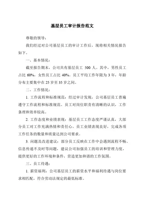 基层员工审计报告范文