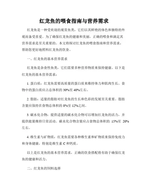 红龙鱼的喂食指南与营养需求