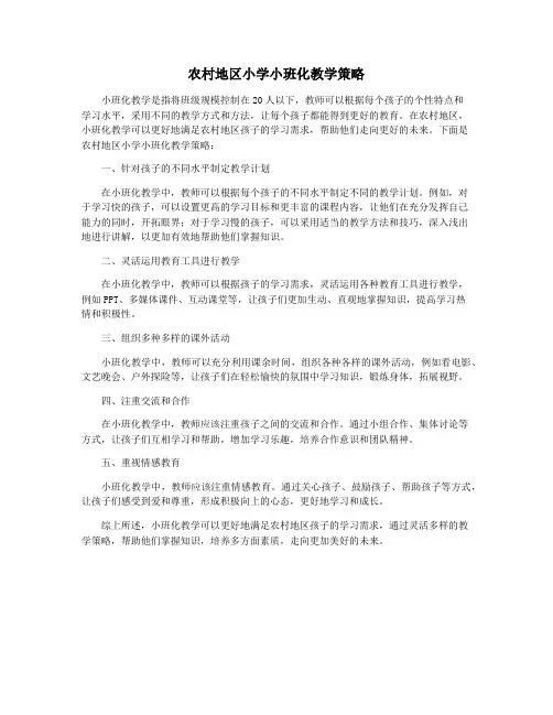 农村地区小学小班化教学策略