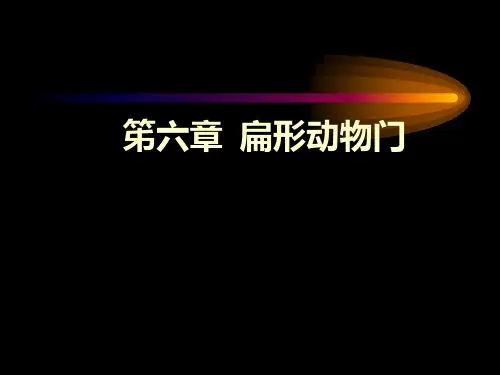 第六章-扁形动物门