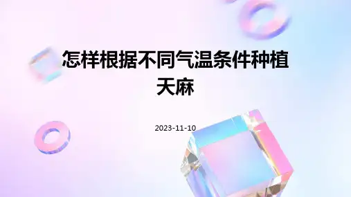 怎样根据不同气温条件种植天麻