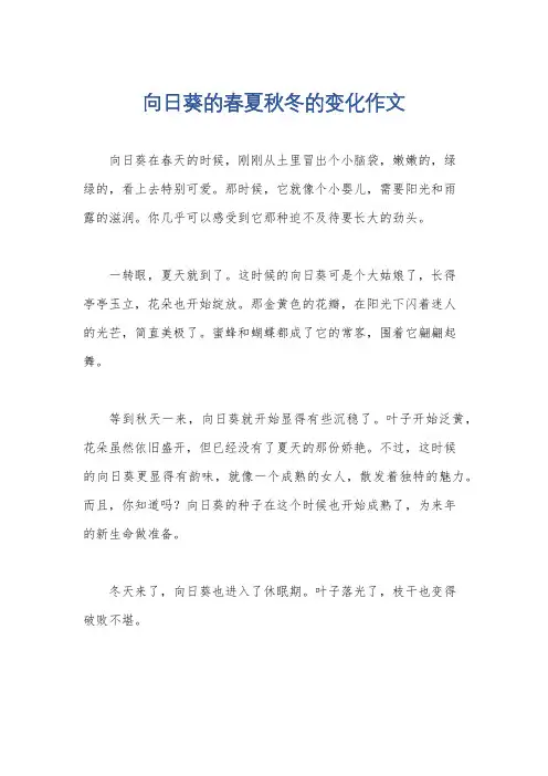 向日葵的春夏秋冬的变化作文