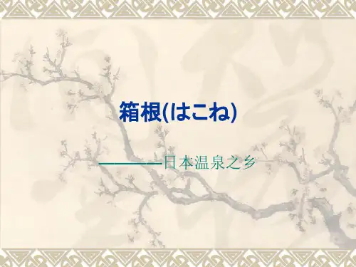 箱根 温泉介绍