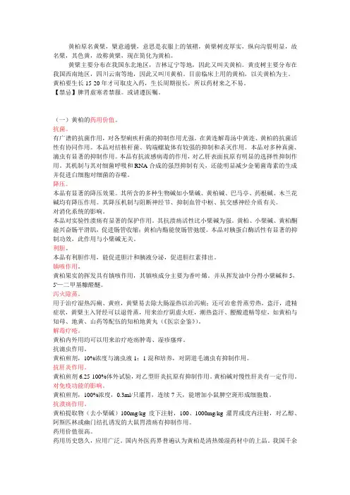 黄檗药用价值 整理