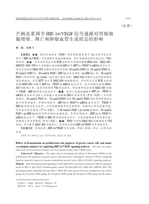 芒柄花素调节HIF-1α