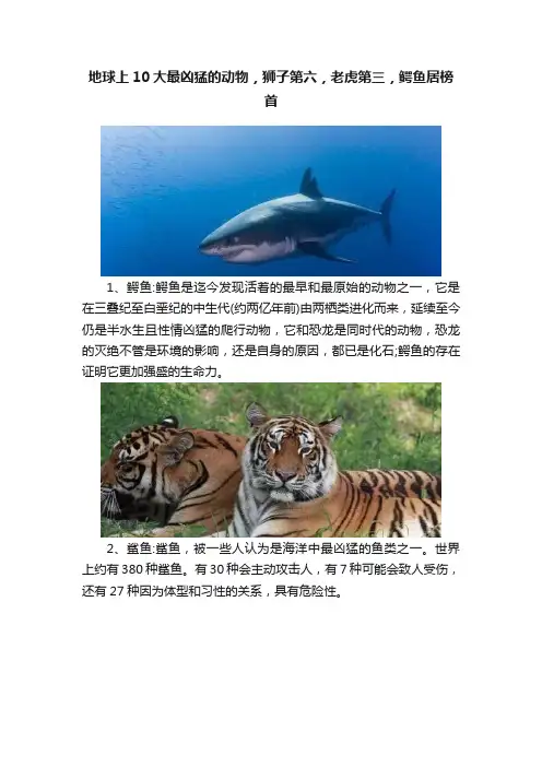 地球上10大最凶猛的动物，狮子第六，老虎第三，鳄鱼居榜首