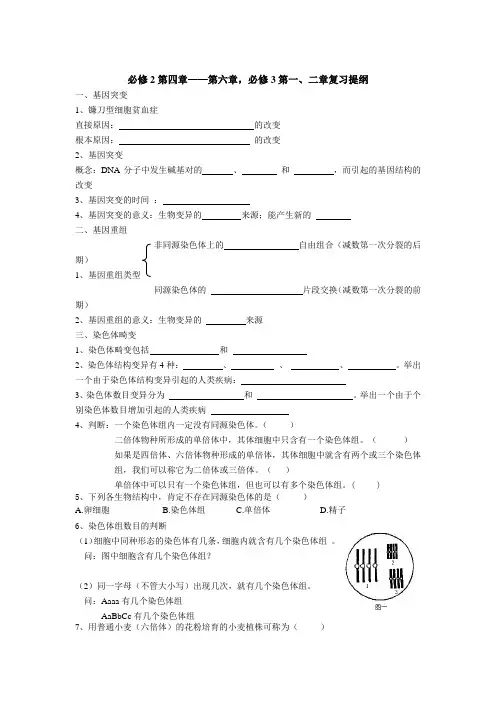浙科版必修2第四章《生物的变异》word教案