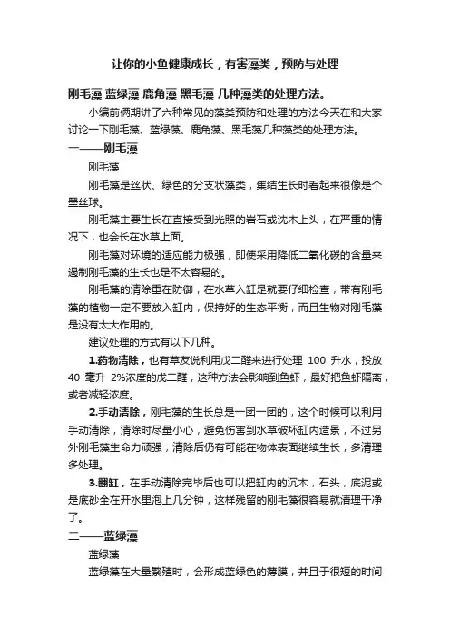让你的小鱼健康成长，有害藻类，预防与处理