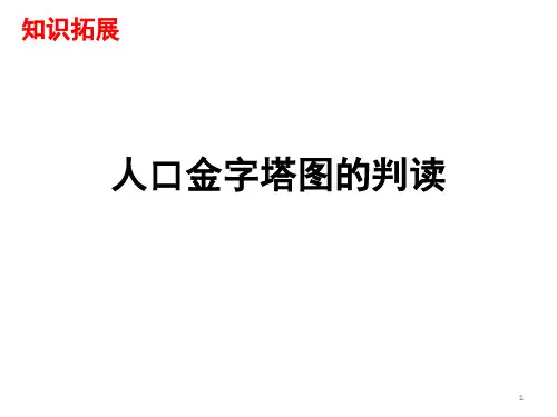 人口金字塔图的判读(课堂PPT)