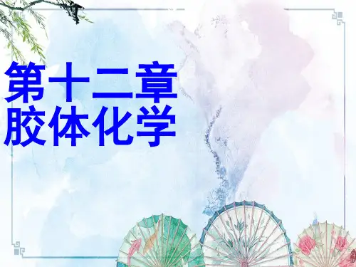 【物理化学D】第12章 胶体化学