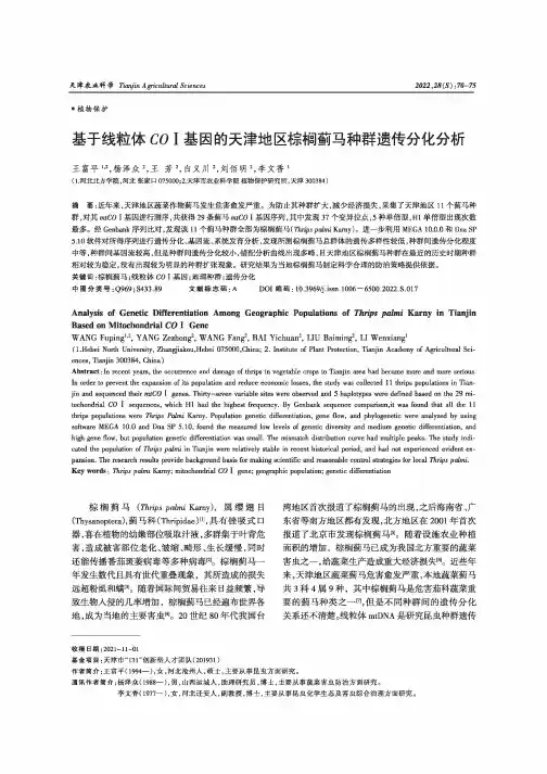 基于线粒体COⅠ基因的天津地区棕榈蓟马种群遗传分化分析