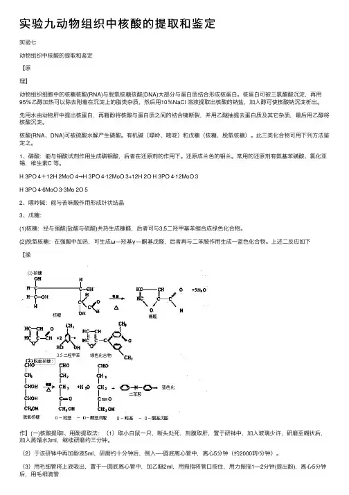实验九动物组织中核酸的提取和鉴定