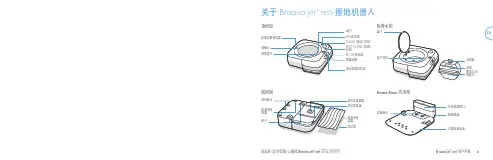 Braava jet