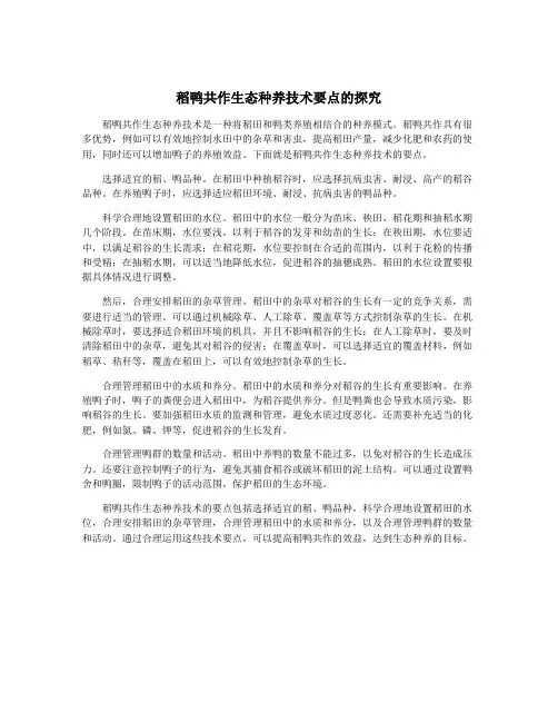 稻鸭共作生态种养技术要点的探究