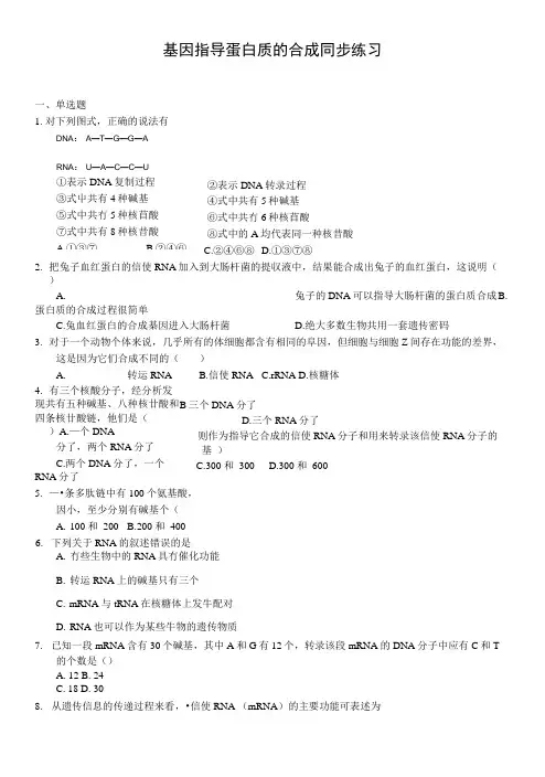 生物：《基因指导蛋白质的合成》同步练习(人教版必修).docx