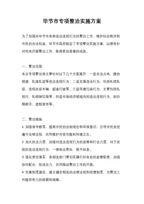 毕节市专项整治实施方案
