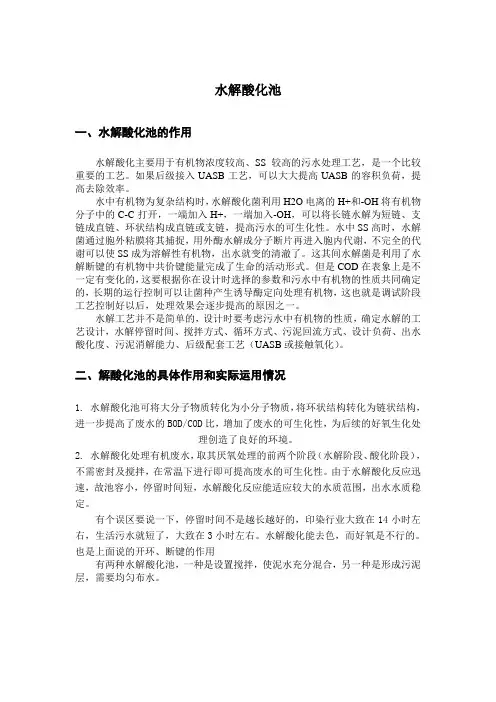 水解酸化池