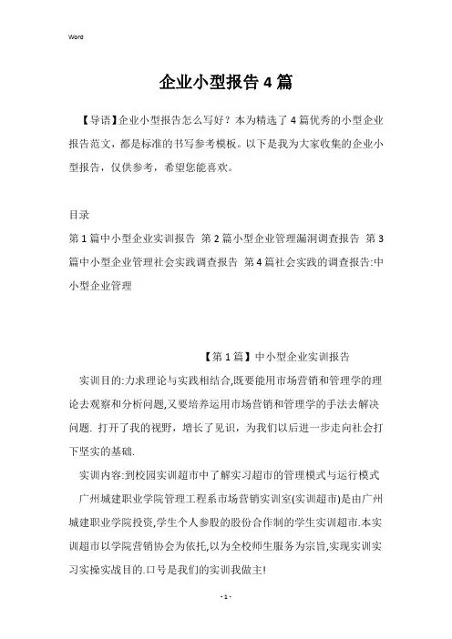 企业小型报告4篇