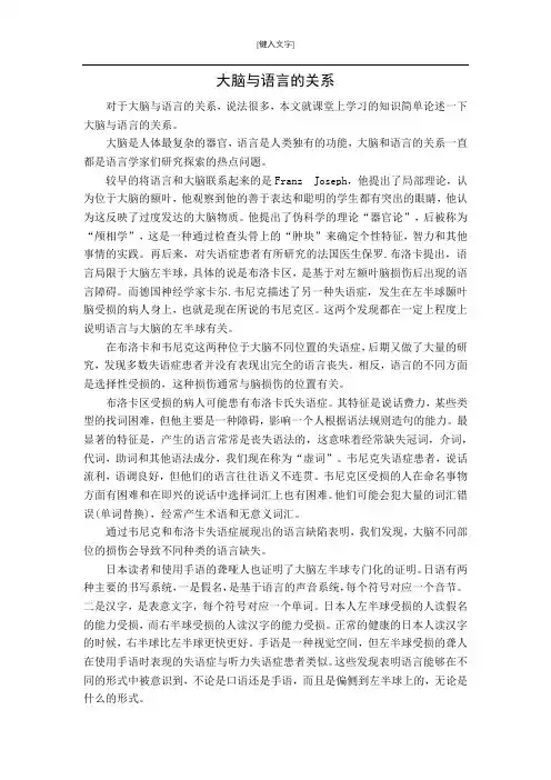 请论述大脑与语言的关系
