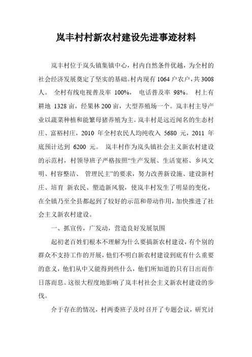 岚丰村新农村建设先进材料