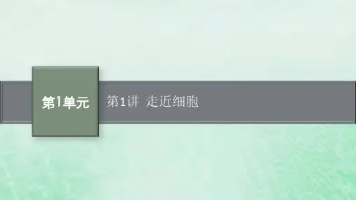 适用于新教材2024版高考生物一轮总复习第1单元细胞的概述细胞的分子组成第1讲走近细胞课件新人教版
