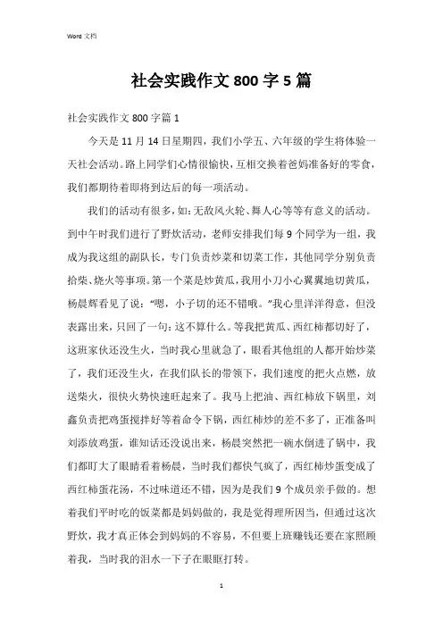 社会实践作文800字5篇