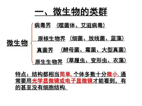 微生物的培养与利用