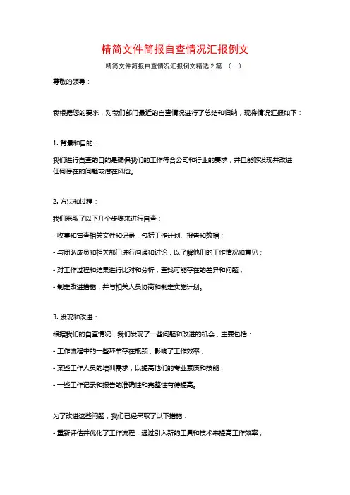 精简文件简报自查情况汇报例文2篇