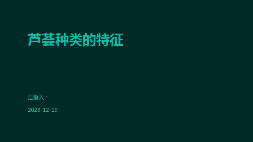 芦荟种类的特征