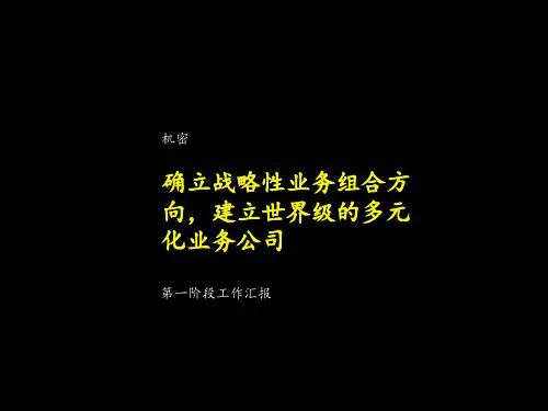 确立战略性业务组合方向,建立世界级的多元化业务公司.ppt