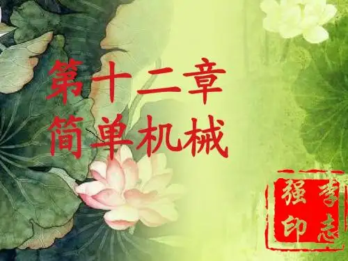 初中物理简单机械复习课PPT