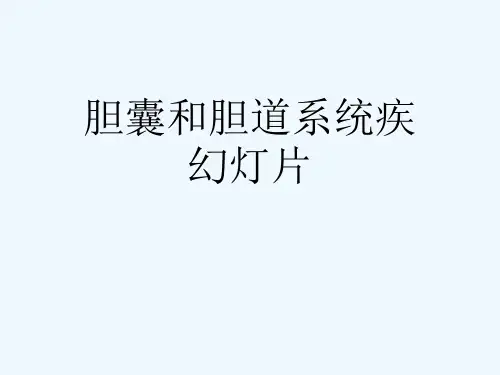 胆囊和胆道系统疾幻灯片