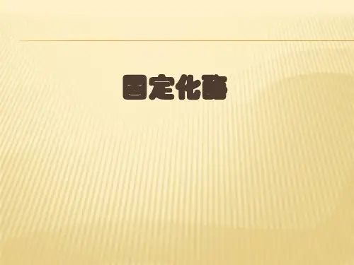 固定化酶