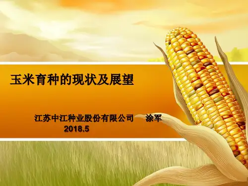 玉米育种情况介绍-涂军
