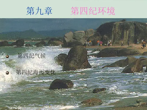 第四纪环境