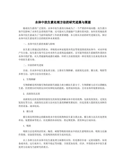 水体中抗生素处理方法的研究进展与展望