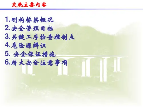 大跨连续刚构桥施工交底概要