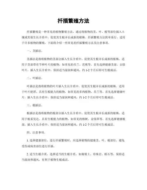扦插繁殖方法