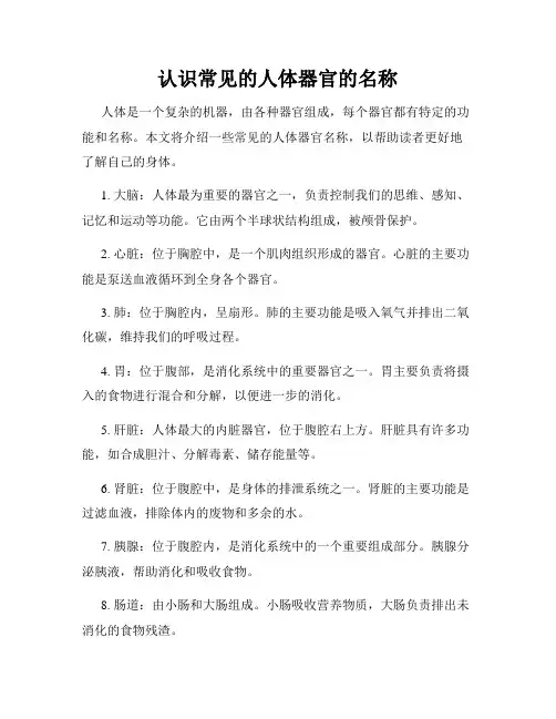 认识常见的人体器官的名称