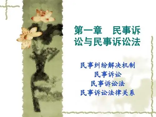 第一章 民事诉讼与民事诉讼法