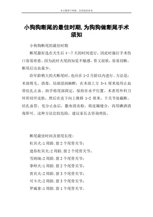 小狗狗断尾的最佳时期,为狗狗做断尾手术须知