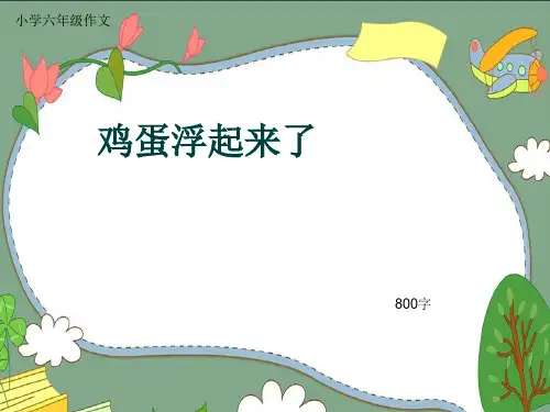 小学六年级作文《鸡蛋浮起来了》800字(共12页PPT)