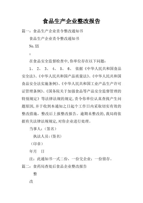 食品生产企业整改报告