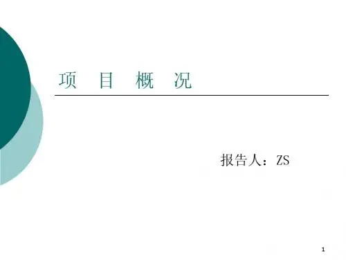 项目概况PPT