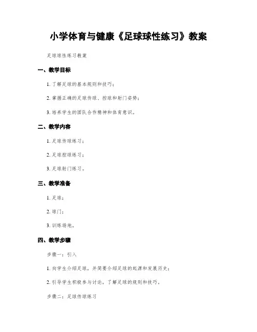 小学体育与健康《足球球性练习》教案