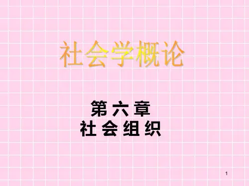 06 社会组织PPT课件